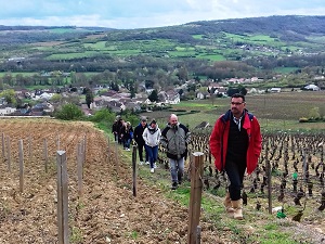 Vineyard and winery visit in Santenay, Burgundy