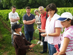Adopt a vine gift in Bordeaux to learn how to be a winemaker