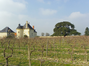 Wine Experience in Loire Valley, Chinon
