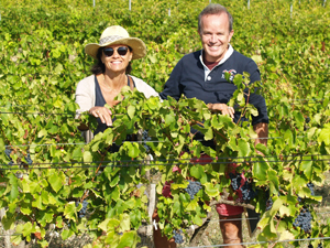 Rent-a-vine present in the Rhone Valley