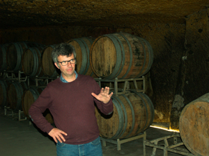 Learning the art of wine-making in the Loire Valley