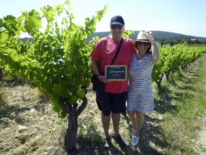 Rent-a-vine gift experience to learn about the art of winemaking
