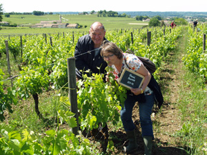 Rent-a-vine gift experience in an organic Saint Emilion vineyard