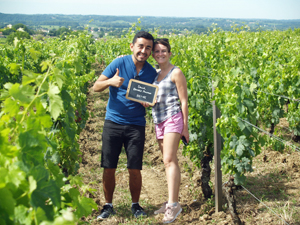 Rent some organic vines in Saint-Emilion and foloow the making of your personnalised wine