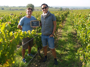 Adopt-a-vine gift experience in Saint-Emilion