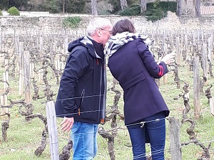 Organic vines adoption and day at the winery in Burgundy, France